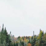 about-bg